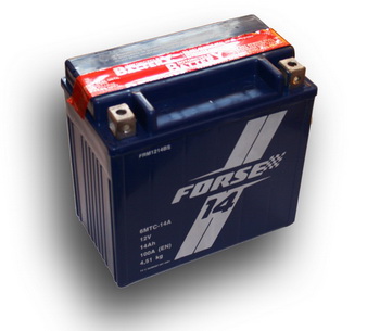 ����������� FORSE AGM 6��� 14 �/� FRM 1214 BS