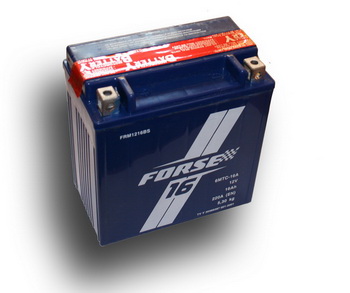 ����������� FORSE AGM 6��� 16 �/� FRM 1216 BS